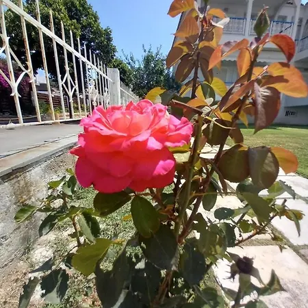 Halkidiki Greek Pride Evlogia Seaside *