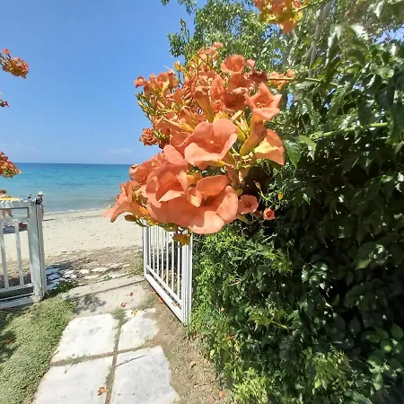 Halkidiki Greek Pride Evlogia Seaside Skála Foúrkas