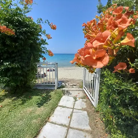 Halkidiki Greek Pride Evlogia Seaside Apartment
