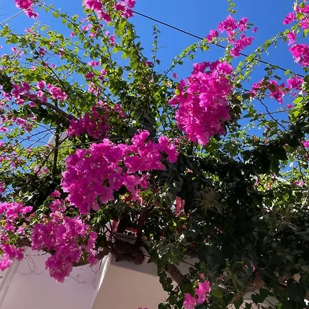 Apartment Halkidiki Greek Pride Evlogia Seaside *